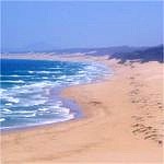 Beach near Port Elizabeth
